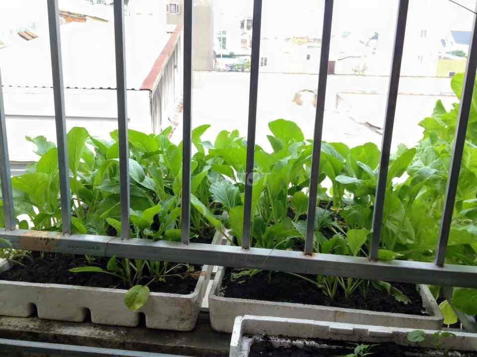 nhà 1 trệt 1 lầu 4x15 cách khu dân cư Vĩnh Lộc 50m