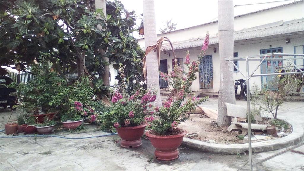 Nhà trọ sân vườn ngọc mai sạch sẽ, có gác, thoáng mát, sân vườn trồng rau nuôi cá