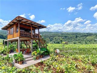 Bán nhiều lô đất đắk nông giá rẻ sổ riêng từ 260 triệu 0919 830 *** ms.trọng