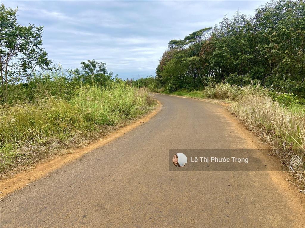 Bán nhiều lô đất đắk nông giá rẻ sổ riêng từ 260 triệu 0919 830 *** ms.trọng