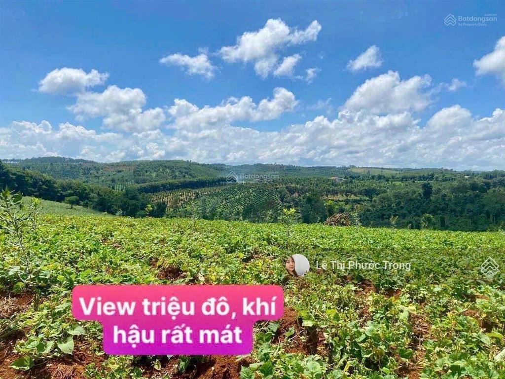 Bán nhiều lô đất đắk nông giá rẻ sổ riêng từ 260 triệu 0919 830 *** ms.trọng