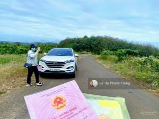 Đất view đẹp đắk nông giá rẻ sẵn vườn macca, 560tr/2114,9m2 ngang 20.5mét mặt đg nhựa 0919 830 ***