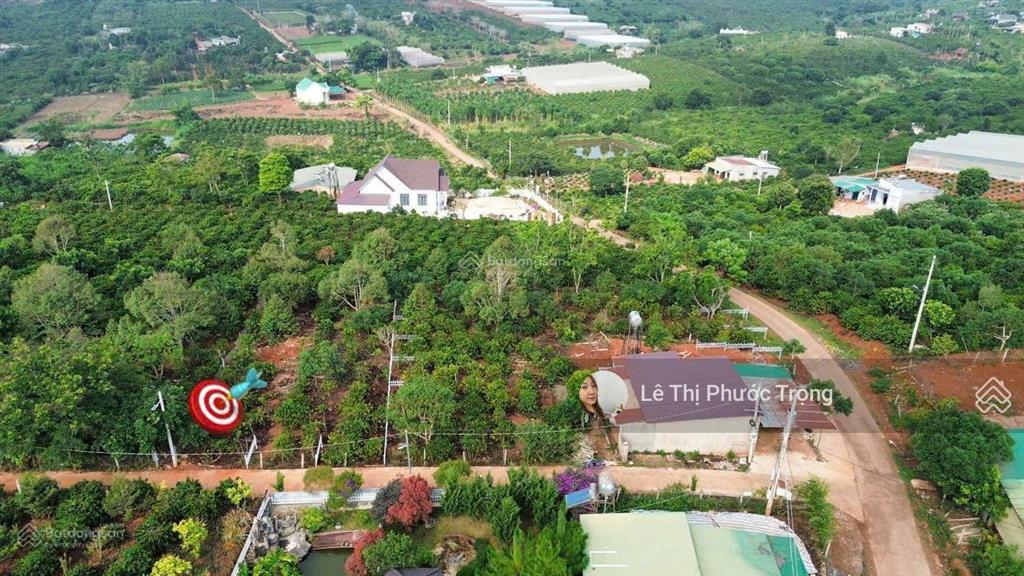 Nhà 3pn mát đẹp 1,65tỷ/429m2 11*35m vừa nhà và vườn, cách đà lạt 6km, lô góc 2 mặt đường lớn