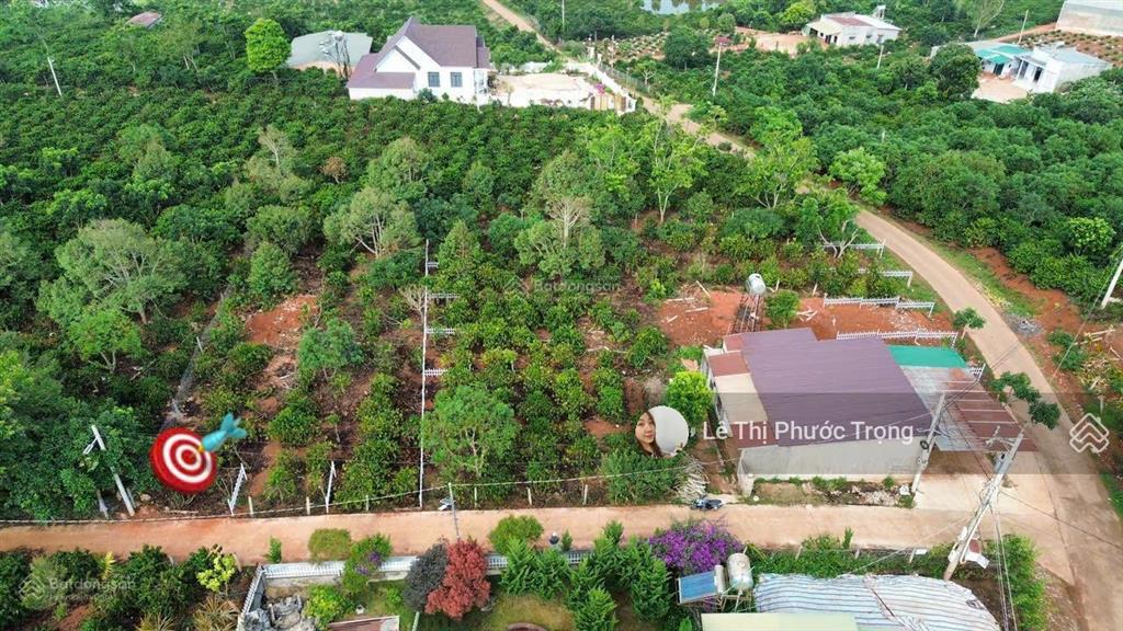 Nhà 3pn mát đẹp 1,65tỷ/429m2 11*35m vừa nhà và vườn, cách đà lạt 6km, lô góc 2 mặt đường lớn