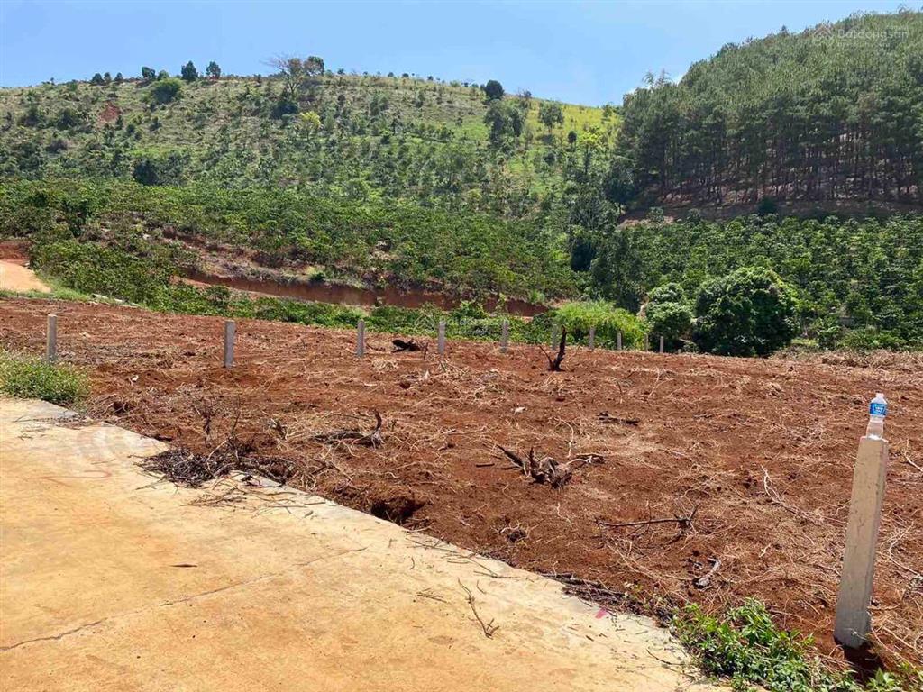 Đất thổ cư thị trấn nam ban, giá bán nhanh 1,9 triệu/m2, view đồi thông, 0919 830 ***