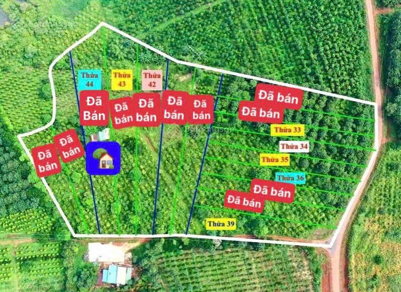 Đất mặt tiền đường nhựa 280 triệu ngang 10 mét view đẹp sổ riêng 0919 830 ***