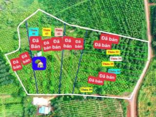 Đất mặt tiền đường nhựa 280 triệu ngang 10 mét view đẹp sổ riêng 0919 830 ***