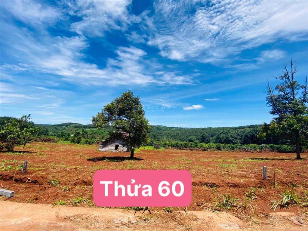 Bán nhanh trong tuần 390tr/1316m2 (200m2 thổ cư) ngang 10m  0938 609 ***, cà phê trên đất, view đẹp