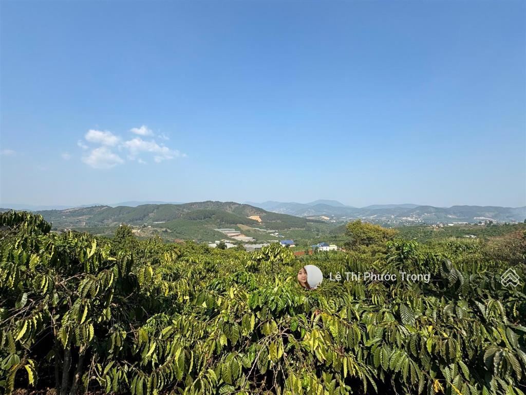 Chính chủ bán lô đất 381m2(302m2 tc) 800triệu tl ngang 11m đất cao, sẵn cà phê có view 0938 609 ***