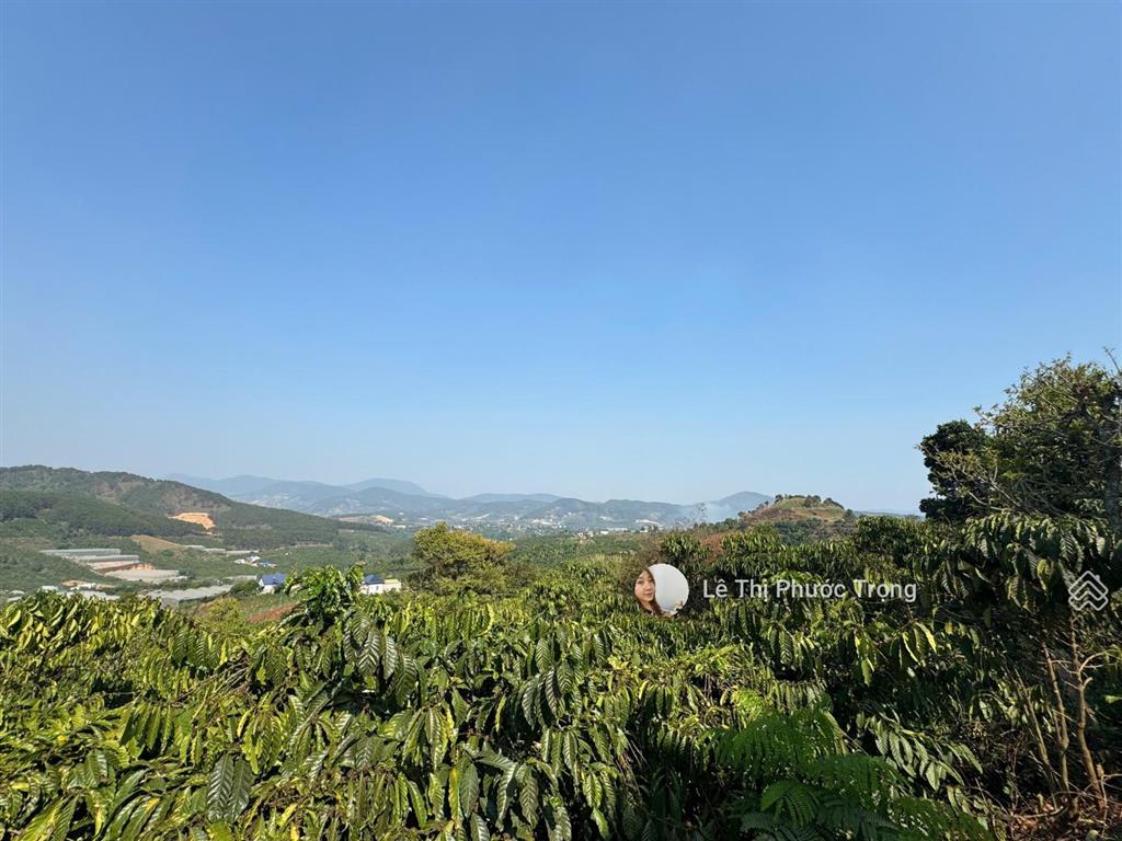 Chính chủ bán lô đất 381m2(302m2 tc) 800triệu tl ngang 11m đất cao, sẵn cà phê có view 0938 609 ***