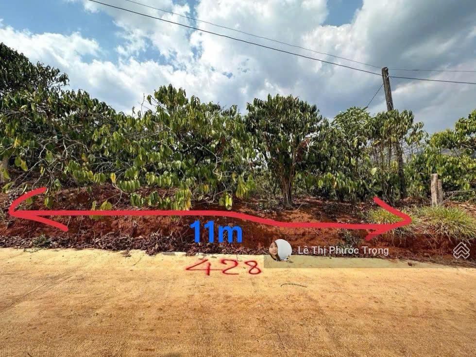 Chính chủ bán lô đất 381m2(302m2 tc) 800triệu tl ngang 11m đất cao, sẵn cà phê có view 0938 609 ***