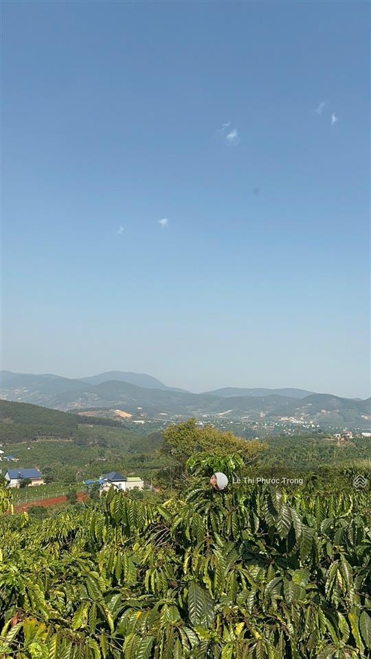 Chính chủ bán lô đất 381m2(302m2 tc) 800triệu tl ngang 11m đất cao, sẵn cà phê có view 0938 609 ***