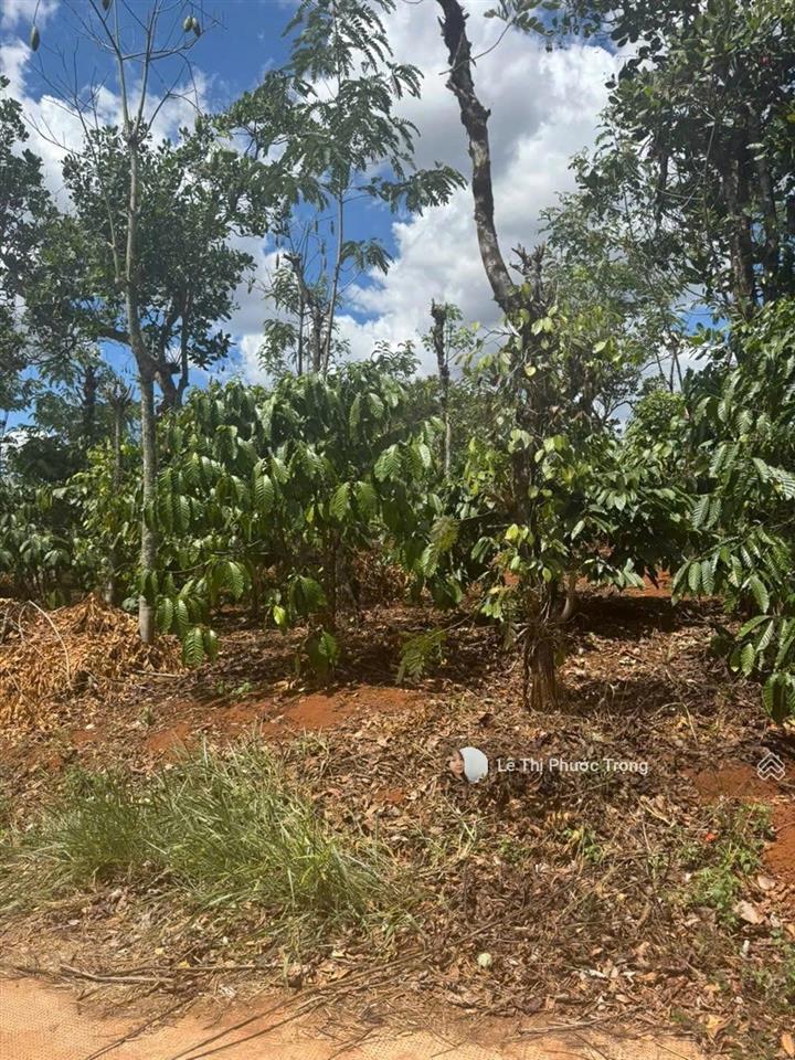 270 triệu( bớt lộc) full thổ cư 250m2 ngang 9m có giếng khoan, đất nền thổ cư 0938 609 ***