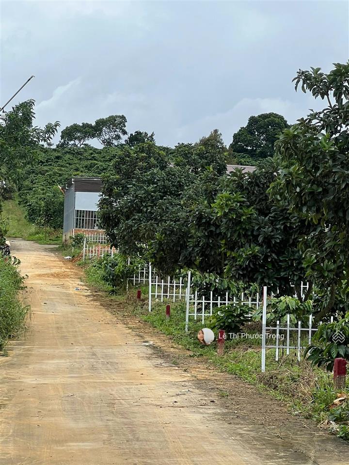 Đất trung tâm thị trấn nam ban 645 triệu/sổ sẵn, view đẹp 0938 609 ***
