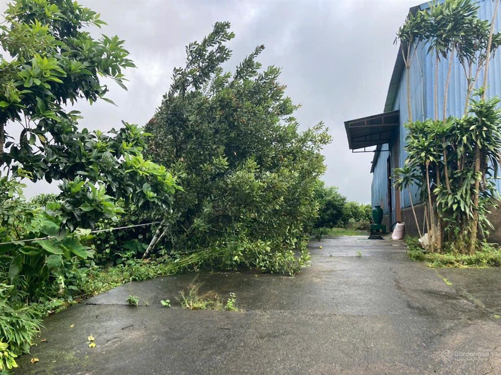 Cần tiền bán nhanh kho, nhà xưởng giảm 3 tỷ còn 11 tỷ 3859m2 sẵn kho 500m2, 0938 609 *** ms. trọng