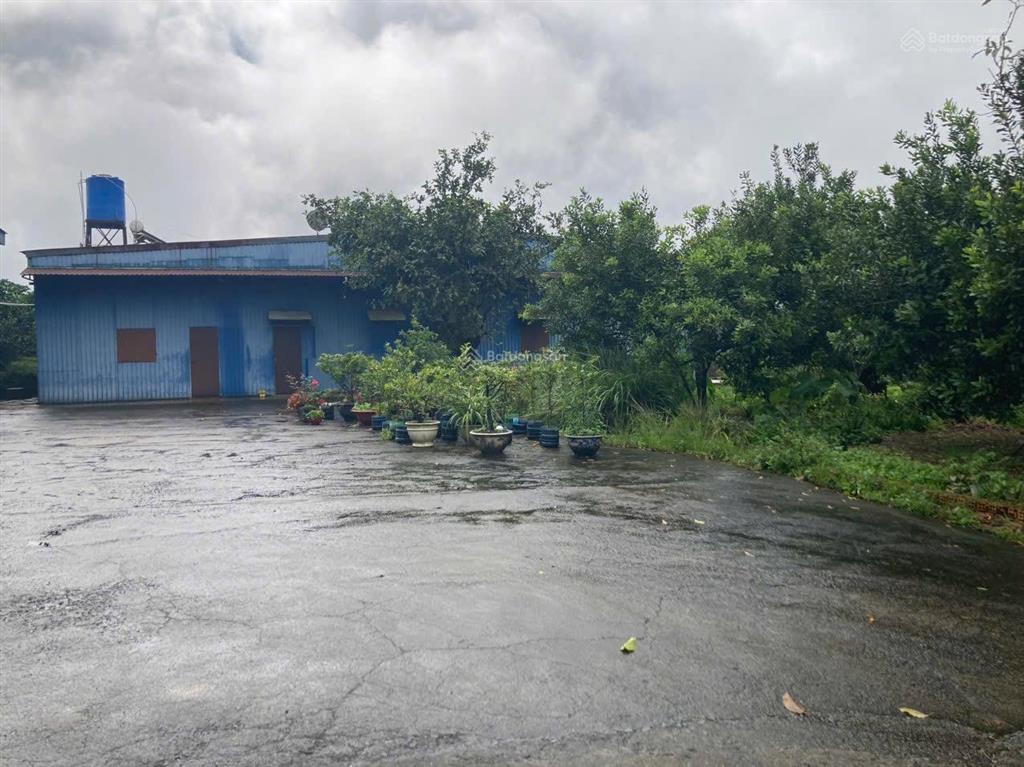 Cần tiền bán nhanh kho, nhà xưởng giảm 3 tỷ còn 11 tỷ 3859m2 sẵn kho 500m2, 0938 609 *** ms. trọng