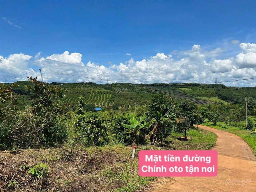 1,7 tỷ/5100m2 (hơn 5 sào) đất thổ cư 2 mặt tiền đường có cà phê, ít cây ăn quả 800m2 tc 0938 609 ***