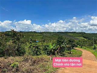 1,7 tỷ/5100m2 (hơn 5 sào) đất thổ cư 2 mặt tiền đường có cà phê, ít cây ăn quả 800m2 tc 0938 609 ***