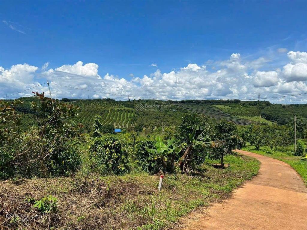 1,7 tỷ/5100m2 (hơn 5 sào) đất thổ cư 2 mặt tiền đường có cà phê, ít cây ăn quả 800m2 tc 0938 609 ***