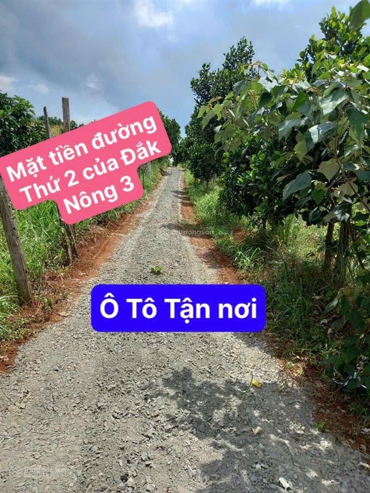 1,7 tỷ/5100m2 (hơn 5 sào) đất thổ cư 2 mặt tiền đường có cà phê, ít cây ăn quả 800m2 tc 0938 609 ***