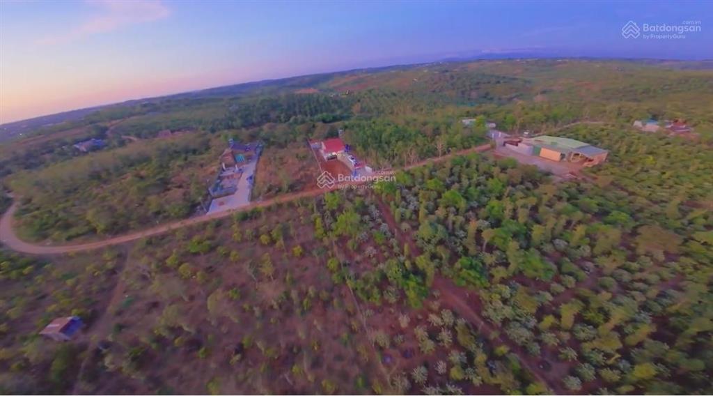 Bán lô đất vườn full cà phê và tiêu có thổ cư 680tr/2000m2 sẵn 300m2 thổ cư đường bêtông 0938 609 ***