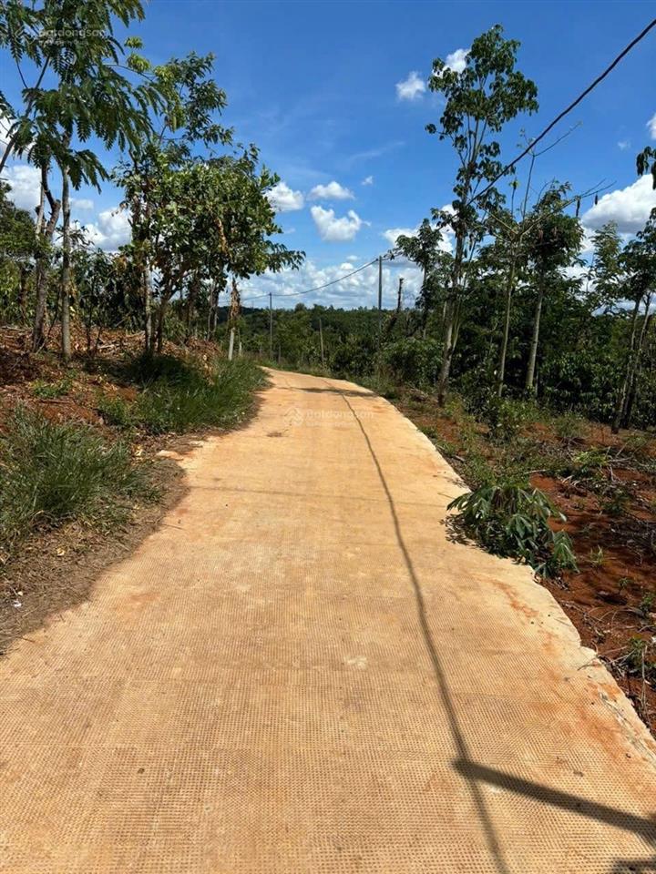 Bán lô đất vườn full cà phê và tiêu có thổ cư 680tr/2000m2 sẵn 300m2 thổ cư đường bêtông 0938 609 ***