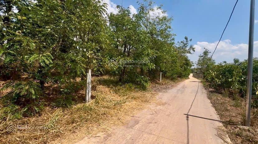 Bán lô đất vườn full cà phê và tiêu có thổ cư 680tr/2000m2 sẵn 300m2 thổ cư đường bêtông 0938 609 ***