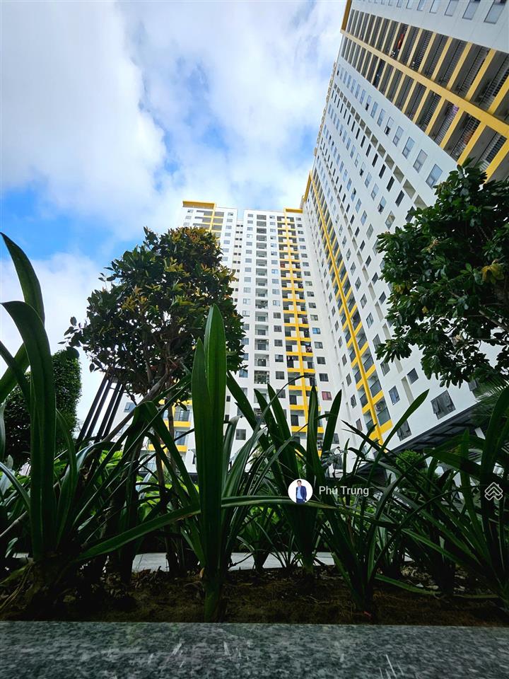 Tecco felice homes chung cư an phú rổ hàng giá tốt nhận nhà ở ngay  0598 369 ***