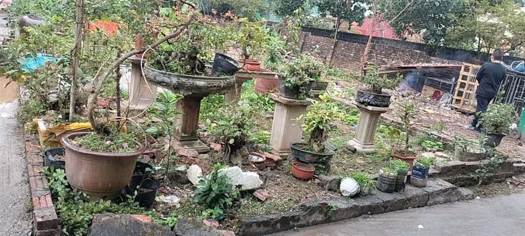 Bán mảnh đất xã kim thư thanh oai 55.1m lô góc nở hậu ôtô đỗ cửa. gần trục đường xe buýt qua