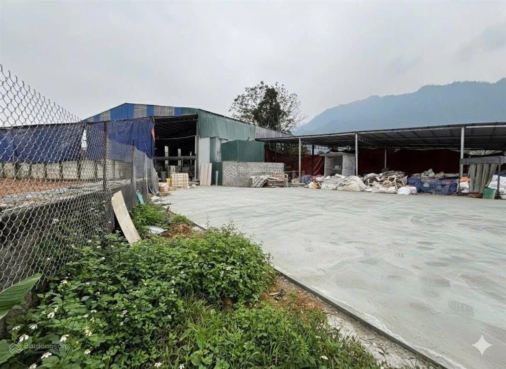 Cho thuê kho xưởng tiến xuân thạch thất 2400 m có 1300 m xưởng 3 pha container đất thổ cư giá 25k/m