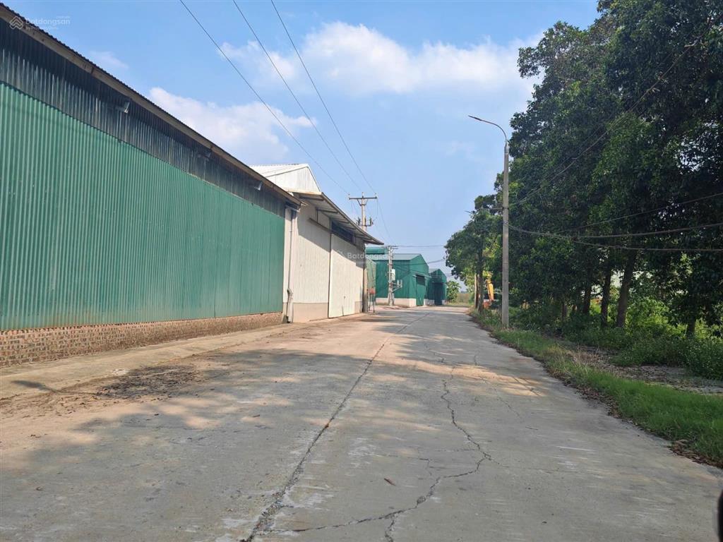 Cho thuê kho xưởng phủ lỗ sóc sơn 20.000m2 có cắt lẻ. pccc, điện 3 pha, xuất vat. đủ