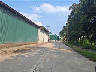 Cho thuê kho xưởng phủ lỗ sóc sơn 20.000m2 có cắt lẻ. pccc, điện 3 pha, xuất vat. đủ
