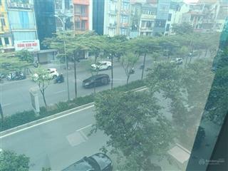 Bán nhà mặt phố đào tấn  ba đình  thông sàn thang máy  vị trí đắc địa  phù hợp các loại hình kd