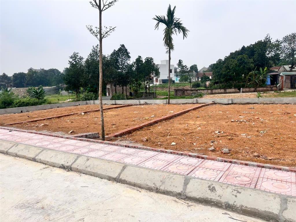 Cần bán 101m2 tại thôn 3 phú cát quốc oai hà nội