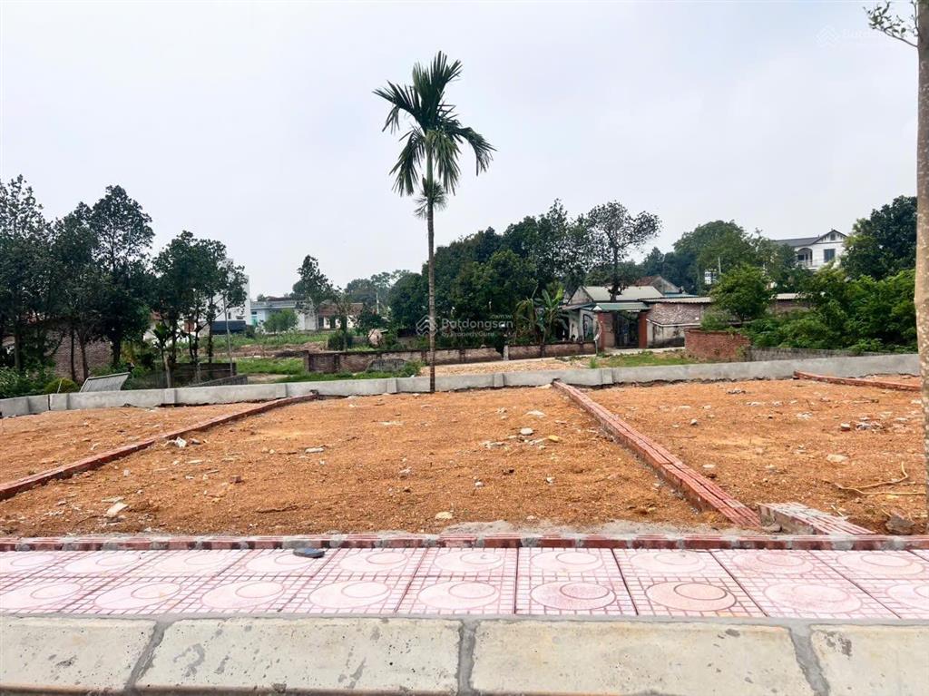 Cần bán 101m2 tại thôn 3 phú cát quốc oai hà nội