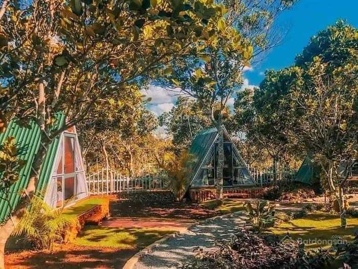Bán gấp 4,6ha khu du lịch cao nguyên vân hòa, view hồ, đang kinh doanh 80 tr  100 triệu/tuần