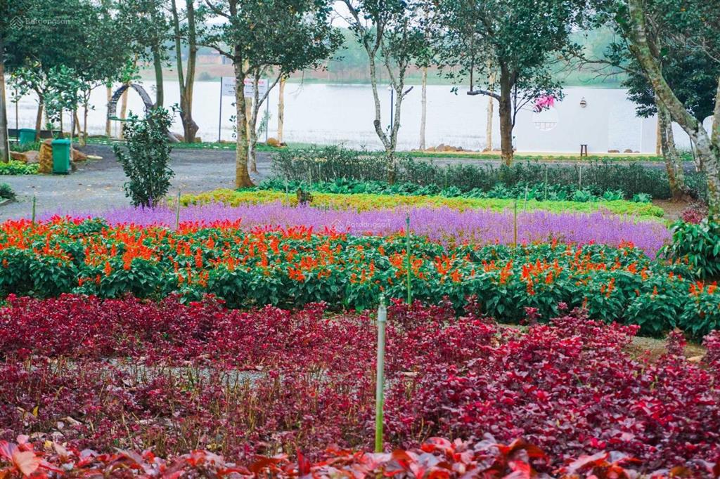 Bán gấp 4,6ha khu du lịch cao nguyên vân hòa, view hồ, đang kinh doanh 80 tr  100 triệu/tuần