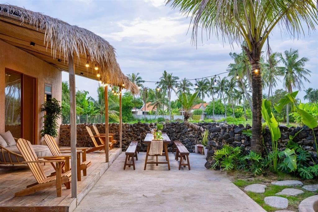 Homestay nhà vườn xinh xắn không gian sống yên bình giữa đồng quê tuy an