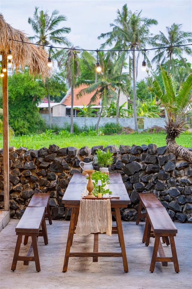 Homestay nhà vườn xinh xắn không gian sống yên bình giữa đồng quê tuy an