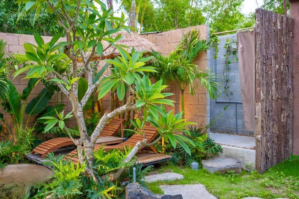 Homestay nhà vườn xinh xắn không gian sống yên bình giữa đồng quê tuy an