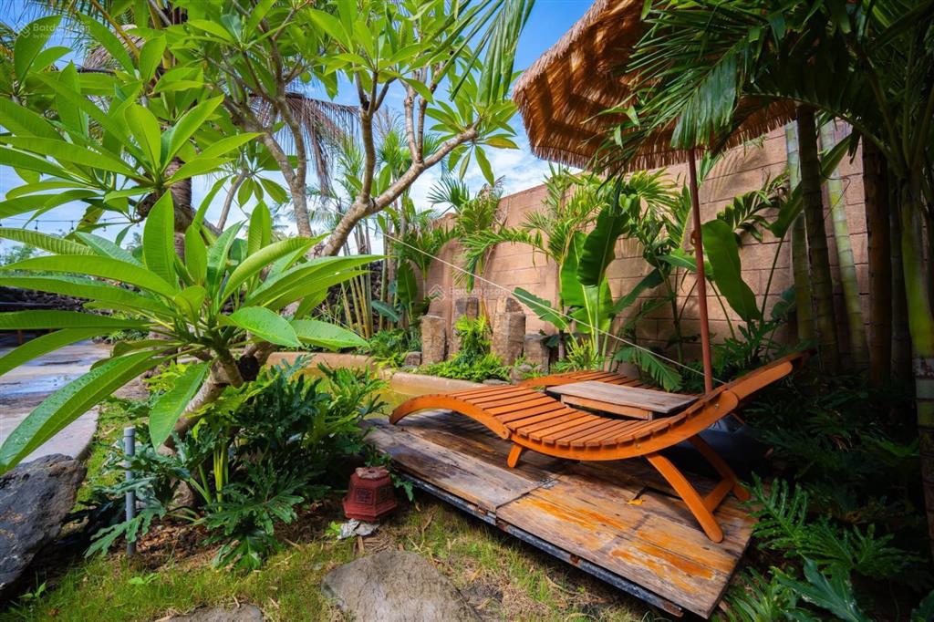 Homestay nhà vườn xinh xắn không gian sống yên bình giữa đồng quê tuy an