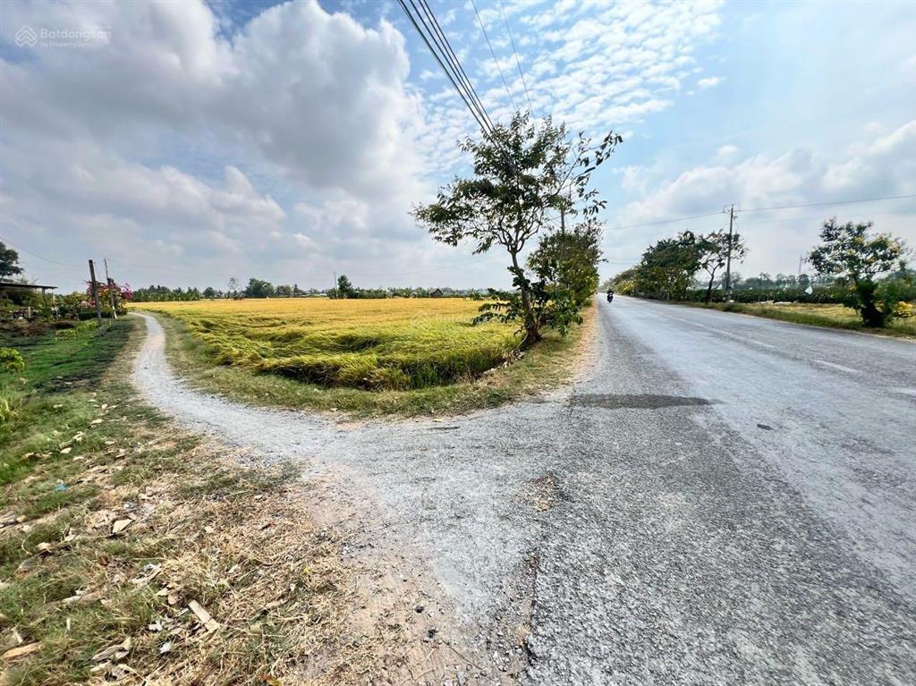 Tôi chính chủ cần bán 1000m2 đất lúa tại thị trấn tân trụ