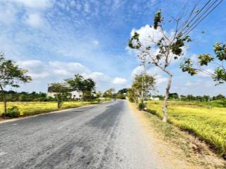 Tôi chính chủ cần bán 1000m2 đất lúa tại thị trấn tân trụ