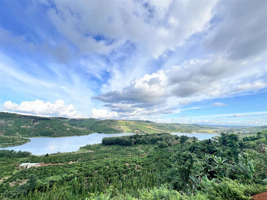 Tôi chính chủ cần bán 2ha đất view hồ thích hợp làm farmstay tại lâm đồng