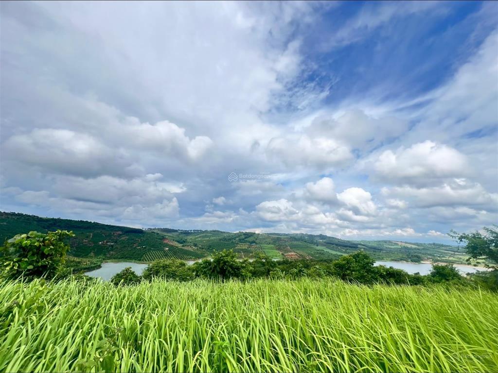 Tôi chính chủ cần bán 2ha đất view hồ thích hợp làm farmstay tại lâm đồng