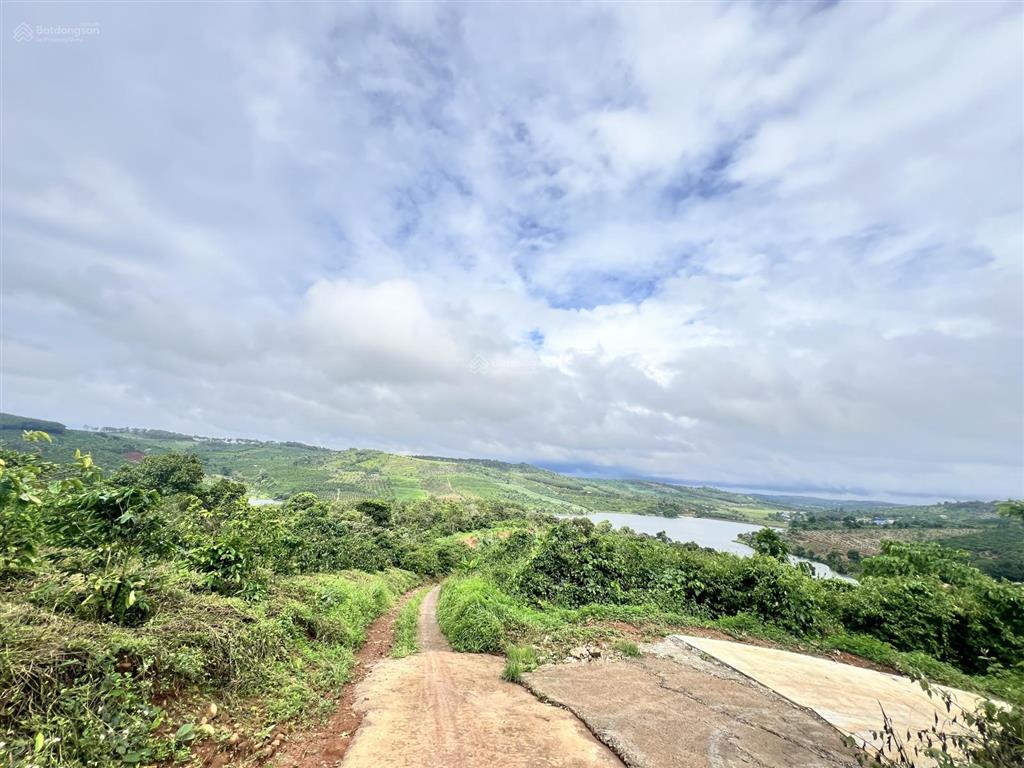 Tôi chính chủ cần bán 2ha đất view hồ thích hợp làm farmstay tại lâm đồng