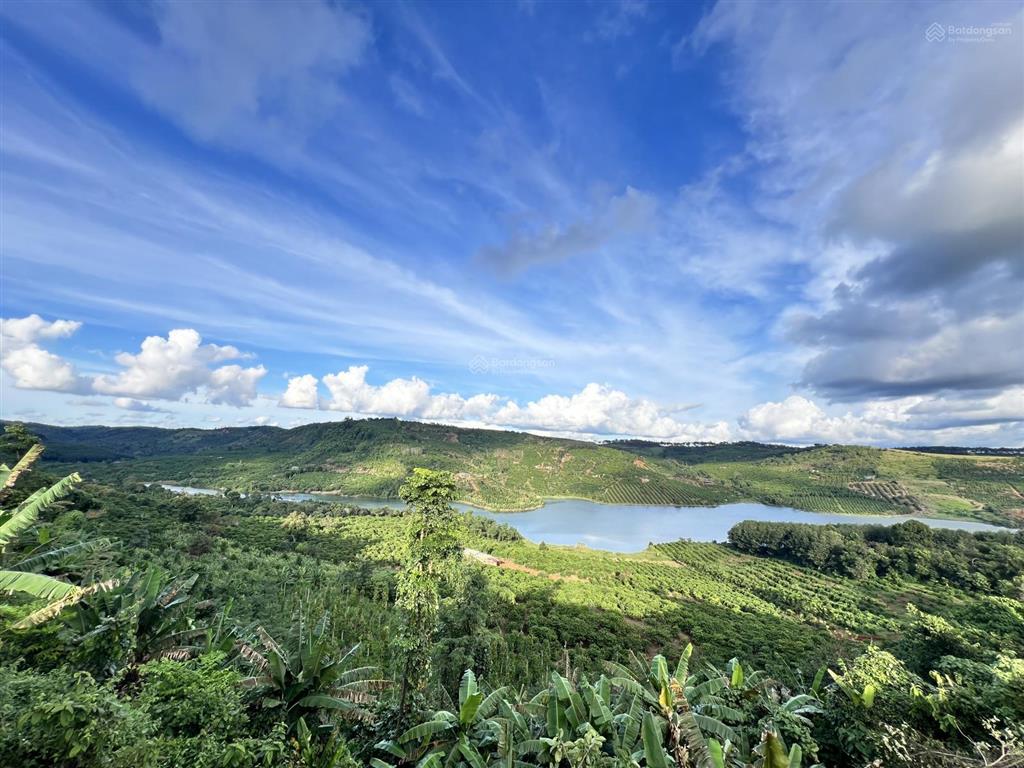 Tôi chính chủ cần bán 2ha đất view hồ thích hợp làm farmstay tại lâm đồng