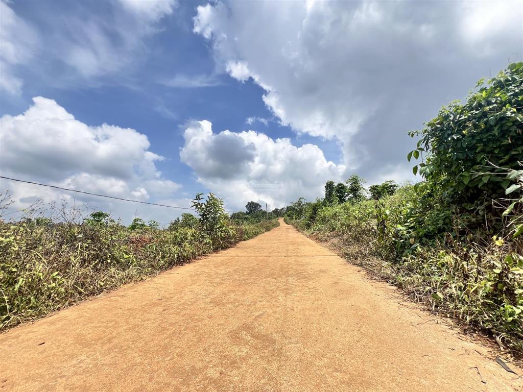 Tôi chính chủ cần bán 2ha đất view hồ thích hợp làm farmstay tại lâm đồng