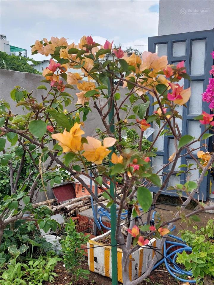 Cần bán nhà ven sông, gần phà bình khánh, cầu cần giờ đang xây dựng