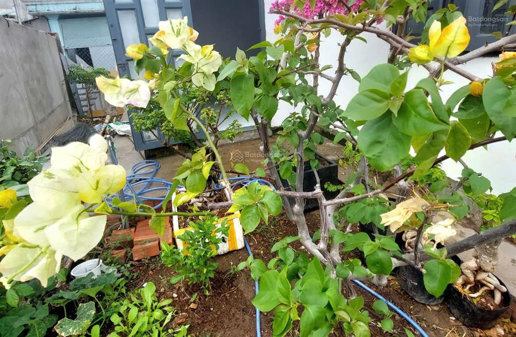 Cần bán nhà ven sông, gần phà bình khánh, cầu cần giờ đang xây dựng